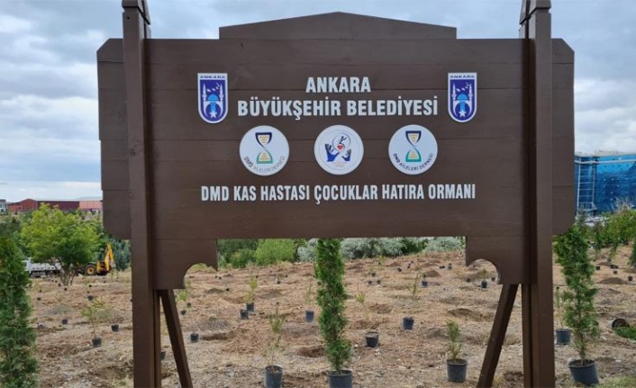 Kas Hastası Çocuklar Ormanı