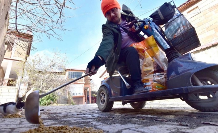 Hayvan dostluğuna engel tanımadı